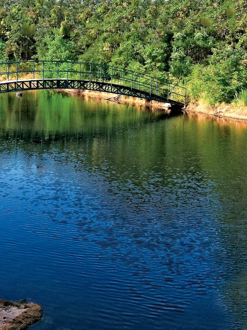 Aquasphere Pond Cleaners 3 Aquasphere Pond Cleaners - Image 3