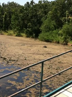 Blast, 2,500 Gallon, 5 Packets -Charming Outdoors Shop 37425 001v 1 1