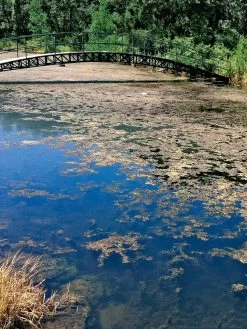 Aquasphere Pond Cleaners 7 Aquasphere Pond Cleaners -Charming Outdoors Shop 37425 002ed 1