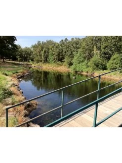 Blast, 125,000 Gallon, 12 Packets -Charming Outdoors Shop 37425 002v 1