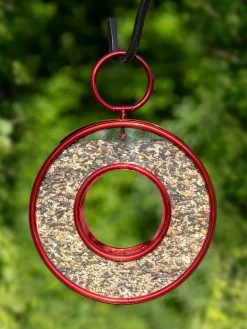 Circle Fly-Thruâ„¢ Bird Feeder With A Ruby Red Finish