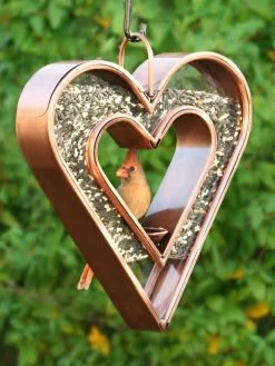Heart Fly-Thru™ Bird Feeder -Charming Outdoors Shop 3 4 crop 8613534 04v