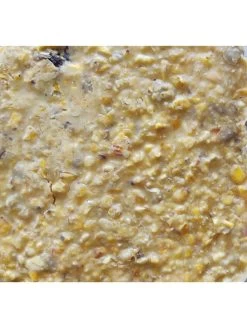 Cherry Sunflower Suet, 11.75 OZ, 12 Pack 7 Cherry Sunflower Suet, 11.75 OZ, 12 Pack -Charming Outdoors Shop 3 4 crop 8613689 04V