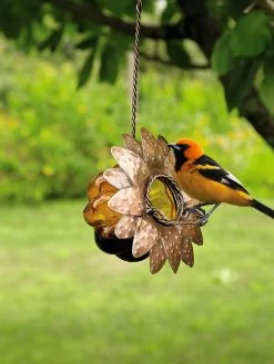 Oriole Jelly Feeder