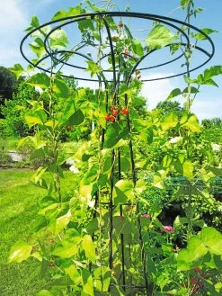 Essex Tuteur, 78" -Charming Outdoors Shop 8587861 100 tif