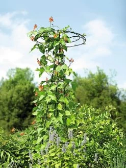 Essex Tuteur, 78" -Charming Outdoors Shop 8587861 4160 tif