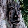 Friendly Ent Tree Face