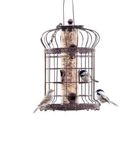 Edwardian Bird Feeder -Charming Outdoors Shop 8590897 200151 tif