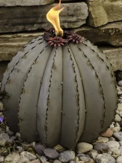 Desert Steel Golden Barrel Cactus Torches -Charming Outdoors Shop 8591454 01V tif