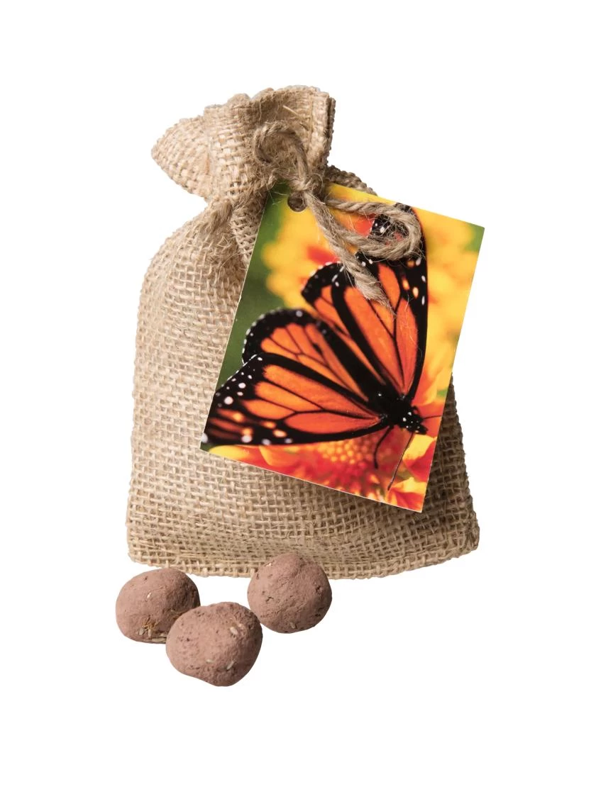 Monarch Butterfly Seed Balls 1 Monarch Butterfly Seed Balls