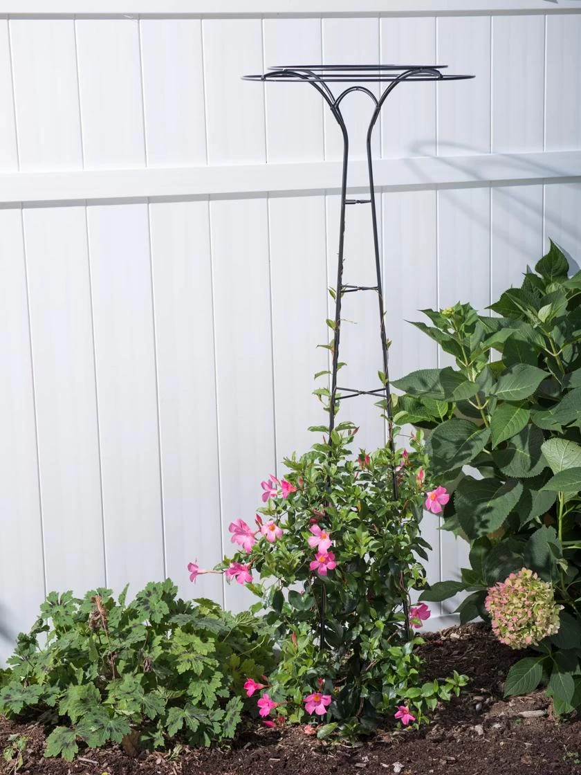 Essex Tuteur, 63" 3 Essex Tuteur, 63" - Image 3