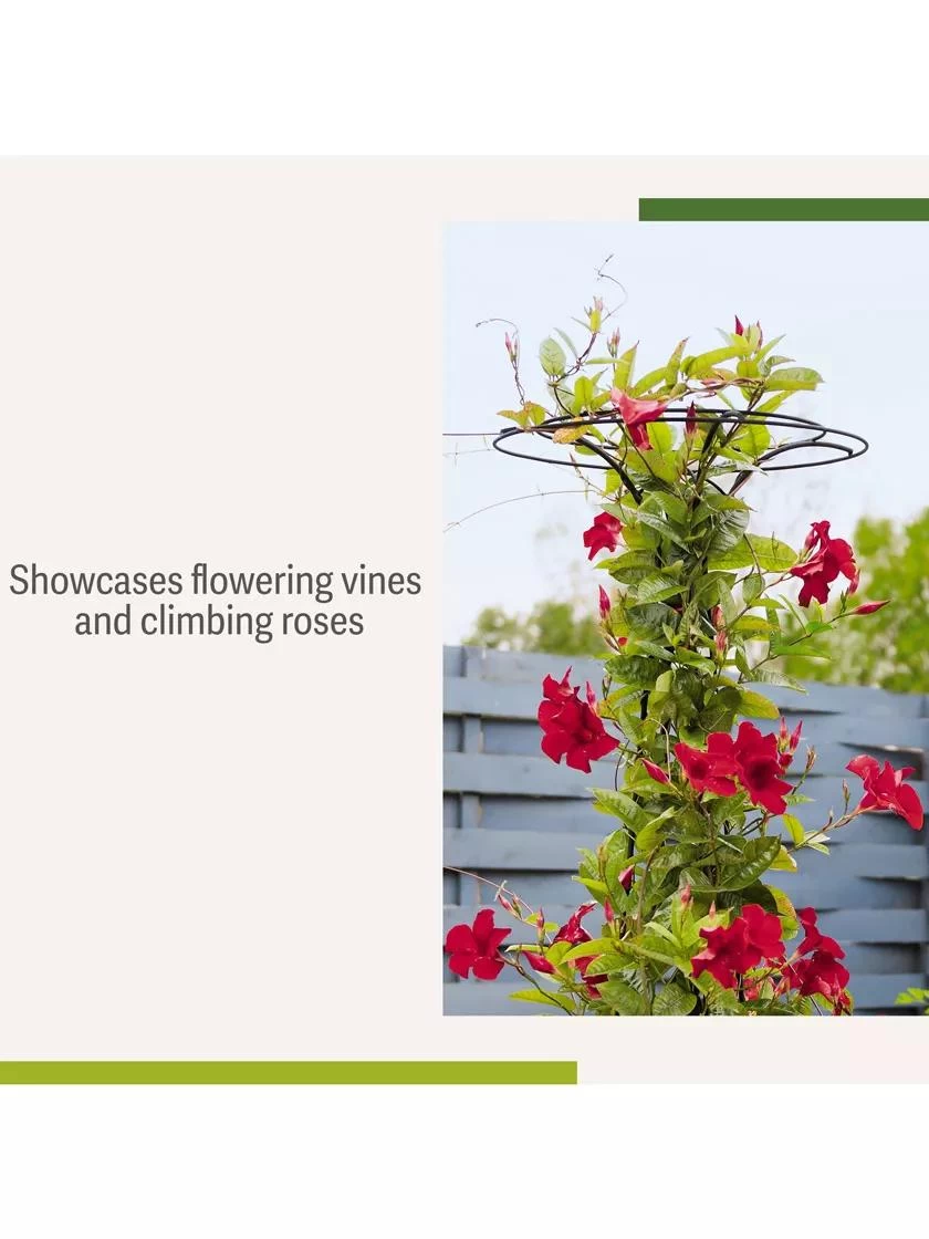 Essex Tuteur, 63" 5 Essex Tuteur, 63" - Image 5