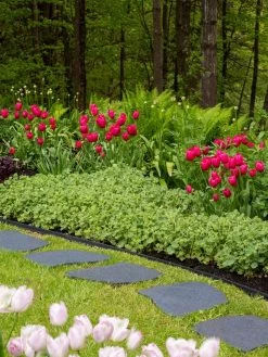 Recycled Rubber Flagstone Stepping Stone -Charming Outdoors Shop 8594282 518 tif