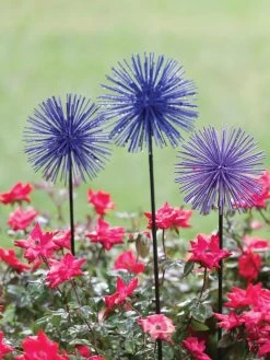 Everbloomin' Alliums, Set Of 3 -Charming Outdoors Shop 8598435 1000 tif