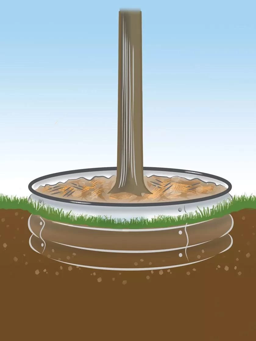 Tree Surround 4 Tree Surround - Image 4