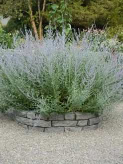 Rock Lock Interlocking Garden System, Curved Sets -Charming Outdoors Shop 8598737 04V tif