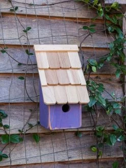 Heartwood Fruit Coops Bird House 7 Heartwood Fruit Coops Bird House -Charming Outdoors Shop 8598856 02v