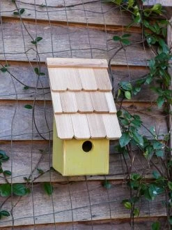 Heartwood Fruit Coops Bird House 8 Heartwood Fruit Coops Bird House -Charming Outdoors Shop 8598856 03v