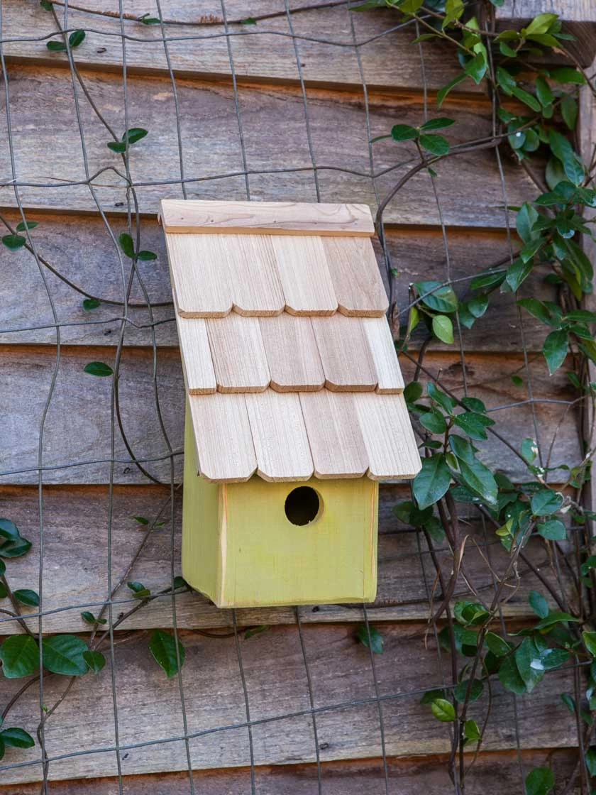 Heartwood Fruit Coops Bird House 4 Heartwood Fruit Coops Bird House - Image 4