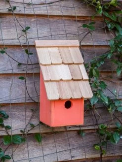 Heartwood Fruit Coops Bird House 9 Heartwood Fruit Coops Bird House -Charming Outdoors Shop 8598856 04v