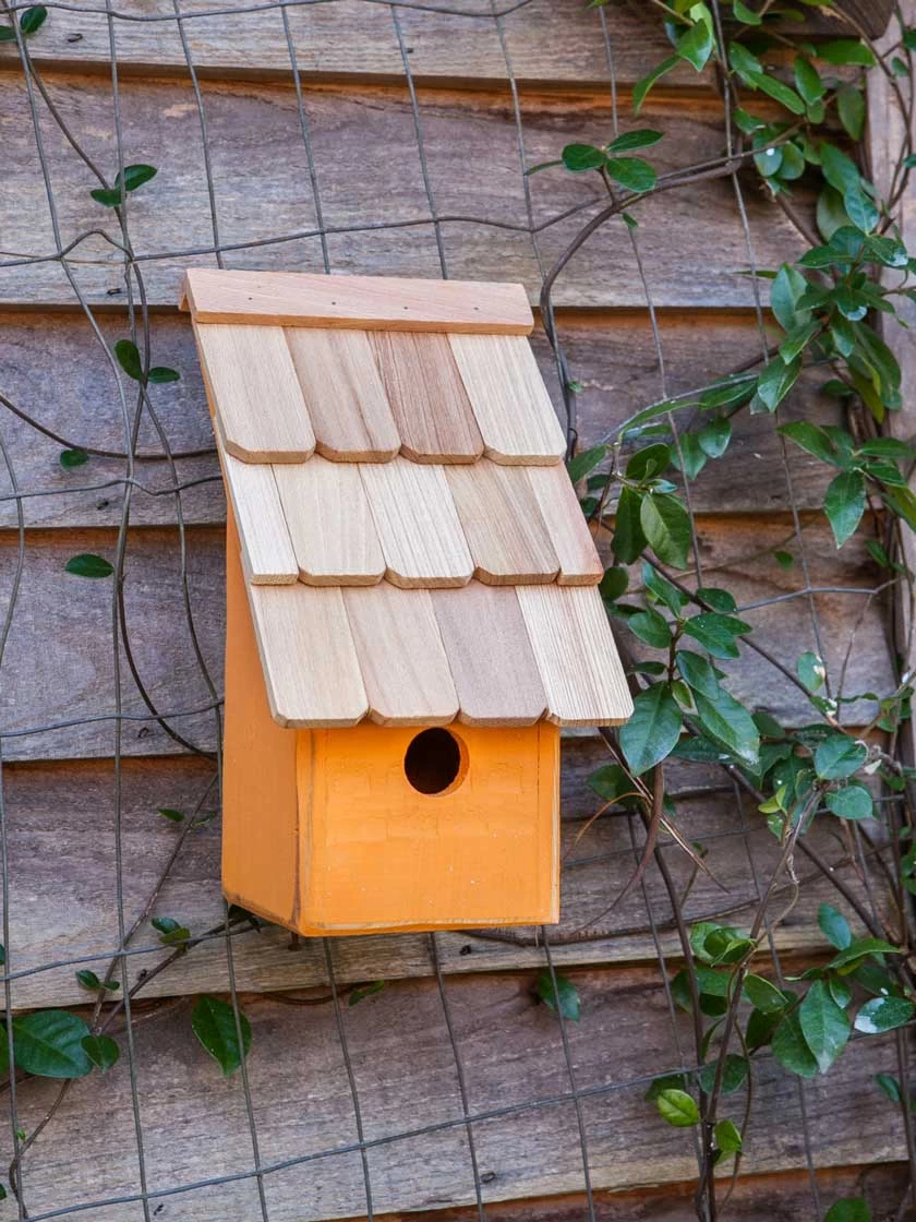Heartwood Fruit Coops Bird House 2 Heartwood Fruit Coops Bird House - Image 2