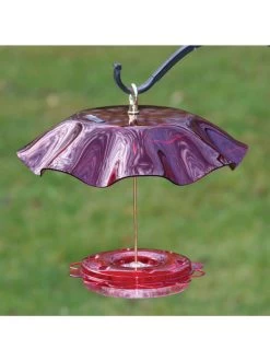 Birds Choice™ Hummingbird Nectar Feeder With Weather Guard Kit 5 Birds Choice™ Hummingbird Nectar Feeder With Weather Guard Kit -Charming Outdoors Shop 8598910 01v