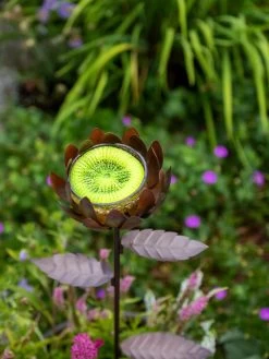 Dahlia Butterfly Feeder 5 Dahlia Butterfly Feeder -Charming Outdoors Shop 8599369 683 tif