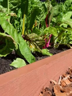 Straight Landscape Edging Kit With 2" Boards -Charming Outdoors Shop 8599408 02V tif