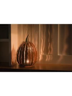 Desert Steel Pumpkin Luminary, Tall -Charming Outdoors Shop 8599559 04v