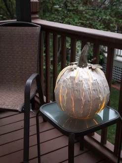 Desert Steel Pumpkin Luminary, Short -Charming Outdoors Shop 8599560 05v