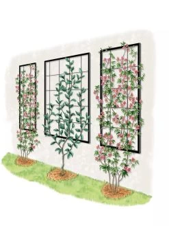 Exeter Wall Trellis -Charming Outdoors Shop 8600049 50 0001 art tif