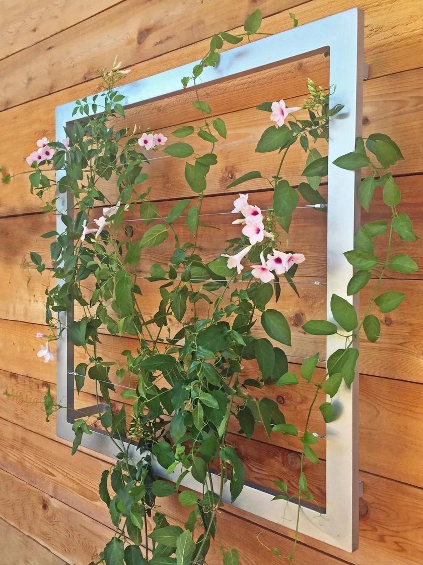 Ina Modern Wall Trellis Jr. 1 Ina Modern Wall Trellis Jr.