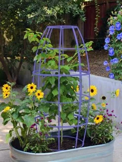 Toki Bubble Trellis -Charming Outdoors Shop 8600520 02V tif