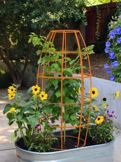 Toki Bubble Trellis -Charming Outdoors Shop 8600520 03V tif
