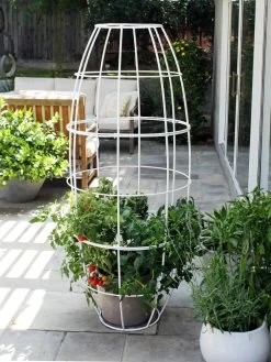 Toki Bubble Trellis -Charming Outdoors Shop 8600520 05V tif