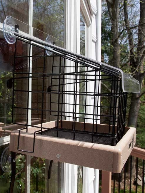 Birds Choice Window Mount Bird Feeder Kits 2 Birds Choice Window Mount Bird Feeder Kits - Image 2