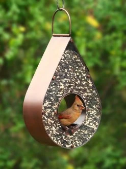 Teardrop Fly-Thruâ„¢ Bird Feeder