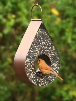 Teardrop Fly-Thru™ Bird Feeder 7 Teardrop Fly-Thru™ Bird Feeder -Charming Outdoors Shop 8609054 02v