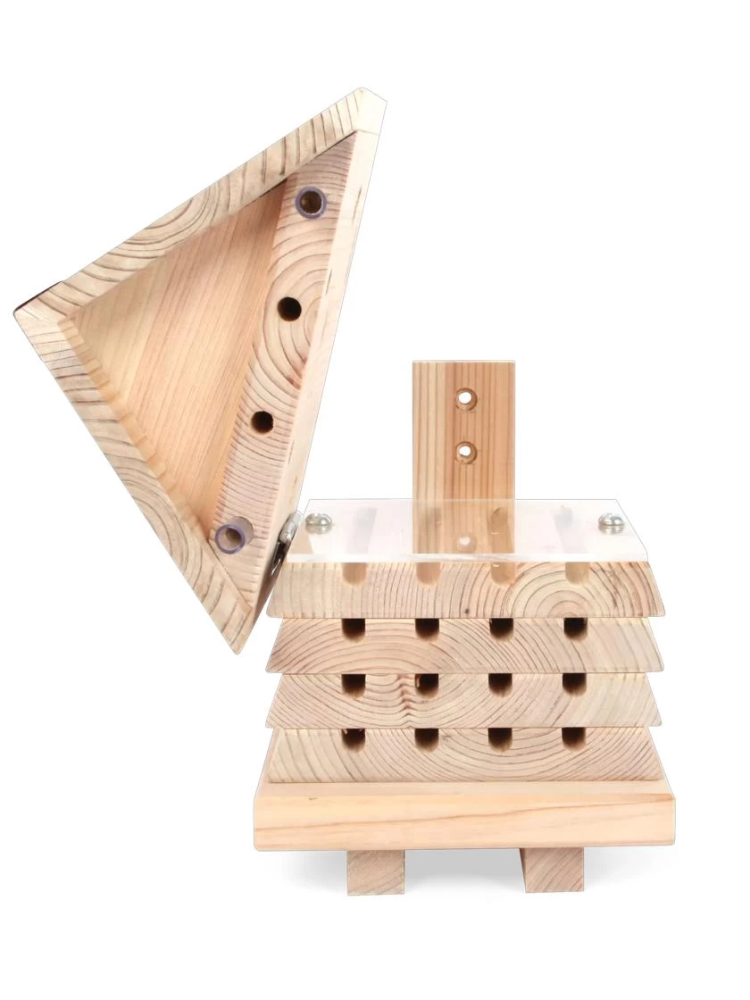 Solitary Bee Hive 3 Solitary Bee Hive - Image 3