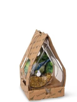 Dewdrop Window Bird Feeder -Charming Outdoors Shop 8609061 4444 tif