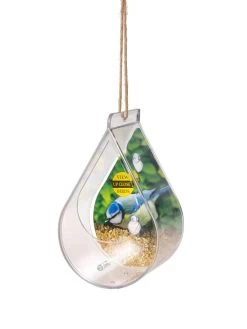 Dewdrop Window Bird Feeder -Charming Outdoors Shop 8609061 4447 tif