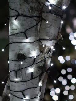 Solar LED String Lights, Lightup125™ -Charming Outdoors Shop 8609126 02V tif
