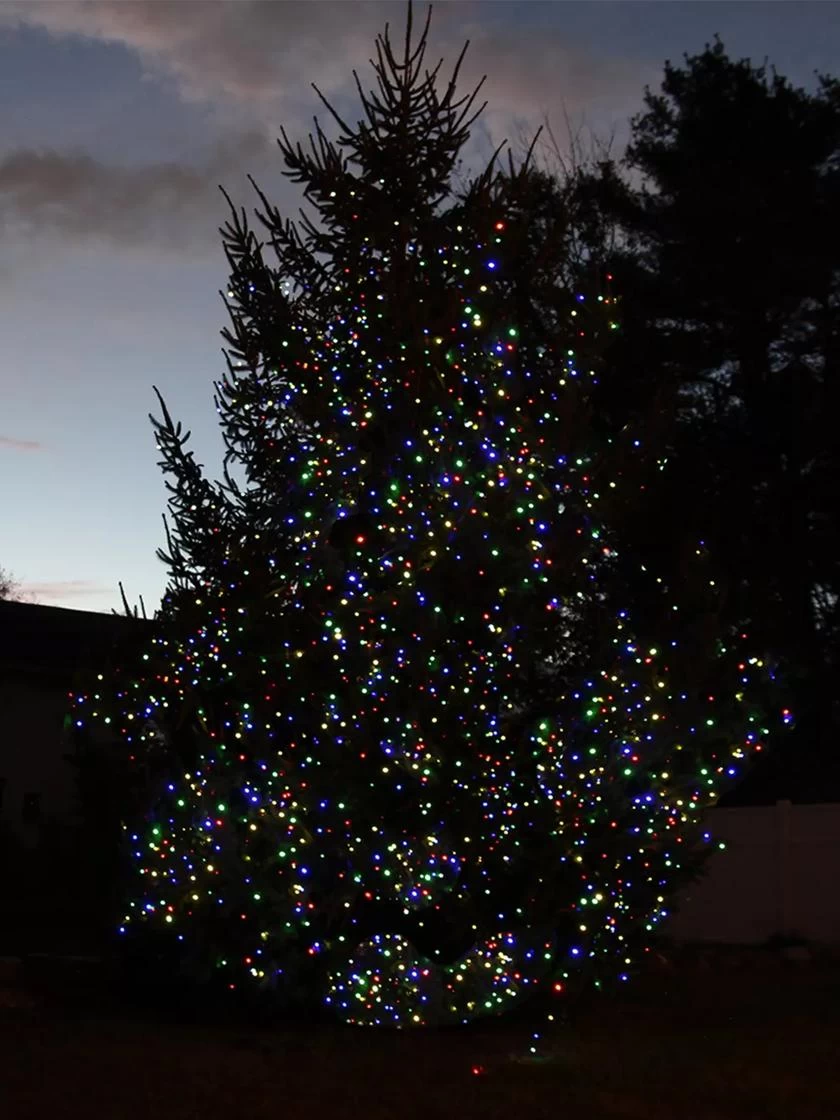 Solar LED String Lights, Lightup125™ 4 Solar LED String Lights, Lightup125™ - Image 4