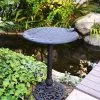 English Ivy Birdbath