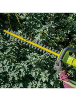 Sun Joe 24V-HT22-LTE 24-Volt ION+ Cordless Hedge Trimmer Kit | 22-Inch | W/ 2.0-Ah Battery And Charger -Charming Outdoors Shop 8610657 09v