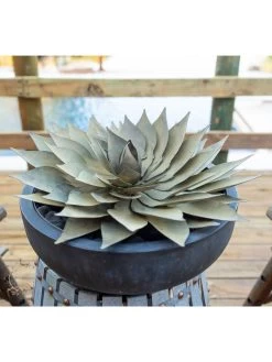 Desert Steel Spiral Aloe Sculpture 14 Desert Steel Spiral Aloe Sculpture -Charming Outdoors Shop 8610750 02v