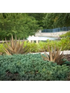 Desert Steel Sharkskin Agave Sculpture 9 Desert Steel Sharkskin Agave Sculpture -Charming Outdoors Shop 8610753 05v