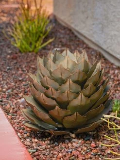 Desert Steel Artichoke Agave Sculpture -Charming Outdoors Shop 8610761 042v