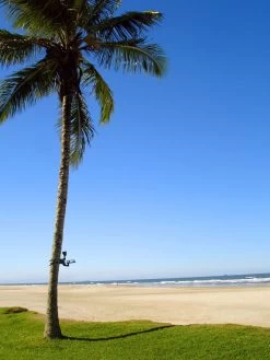 MAXSA® Solar-Powered LED Flag Light -Charming Outdoors Shop 8611318 02v