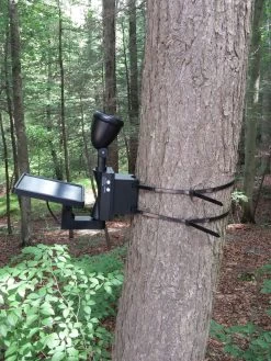 MAXSA® Solar-Powered LED Flag Light -Charming Outdoors Shop 8611318 03v